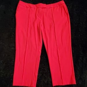 Knee Length pants